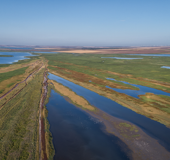 Danube Delta