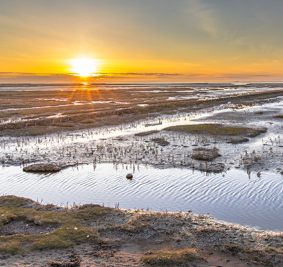 Weser Estuary and Wadden Sea